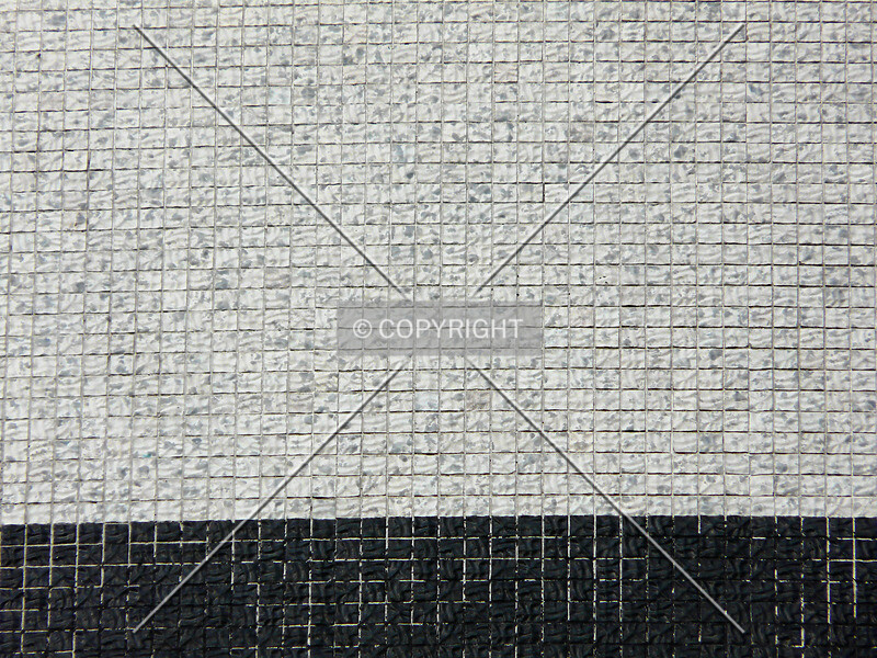 Photo 264-263-556