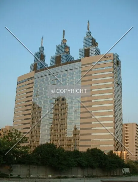 Photo 264-292-467