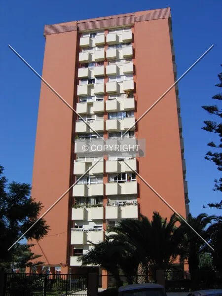 Photo 264-382-983