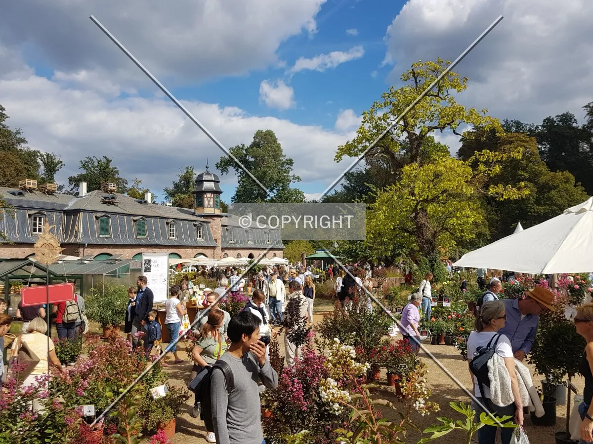 Schloß Wolfsgarten in 2018