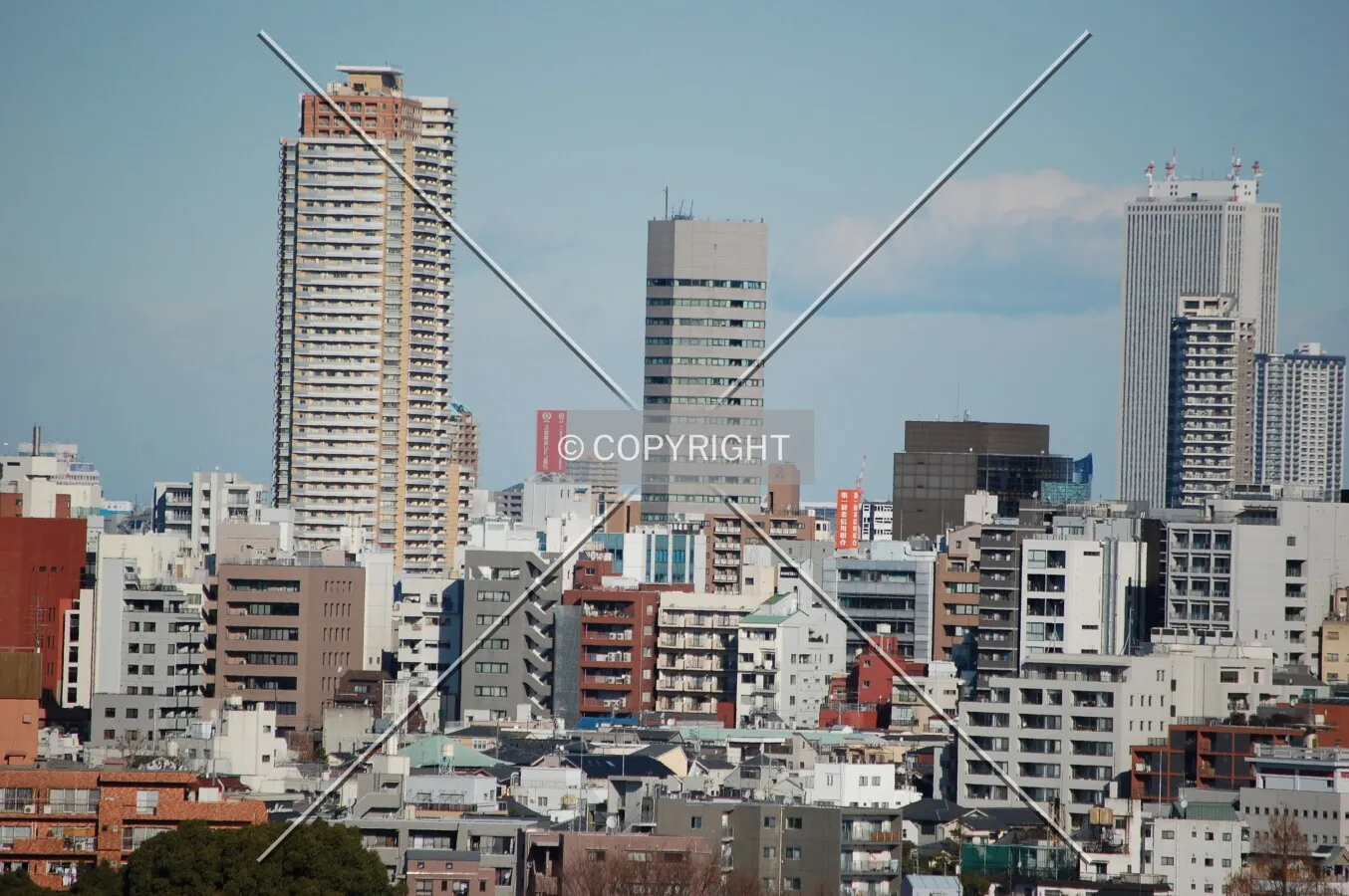Photo 264-607-982