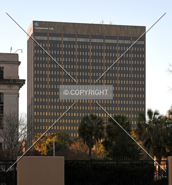 Photo 264-678-092