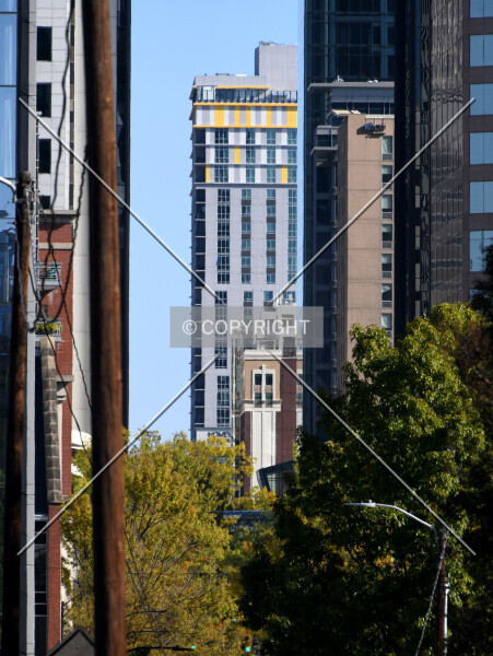 Photo 264-705-646