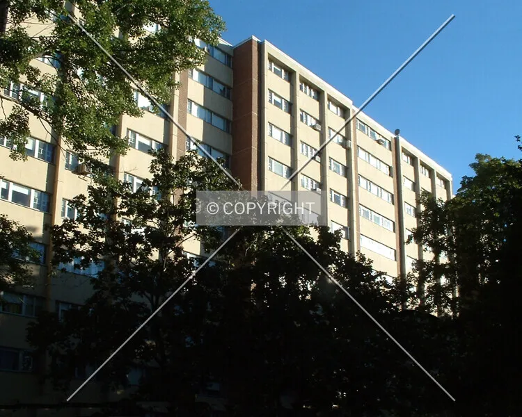 Photo 264-707-825