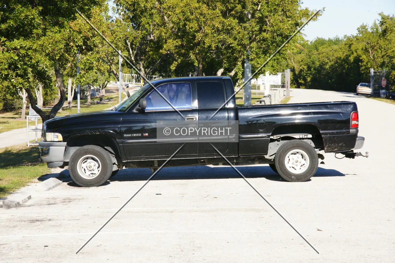 Photo 264-718-431