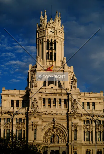 Photo 264-773-669