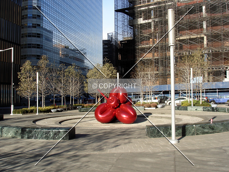 Photo 264-936-739