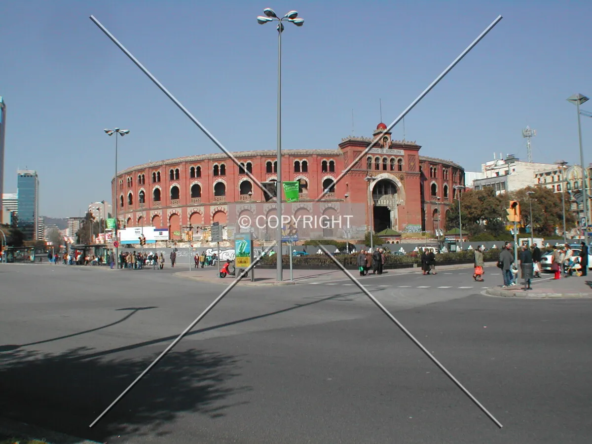 View from the south