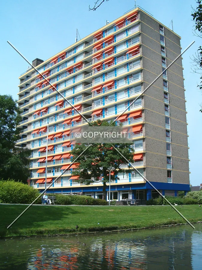 View from Iepenlaan