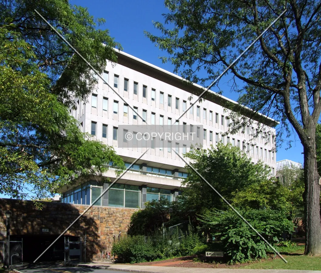 View from the southeast