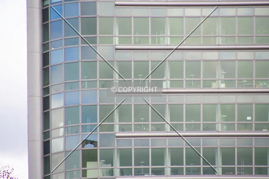 Photo 265-524-243