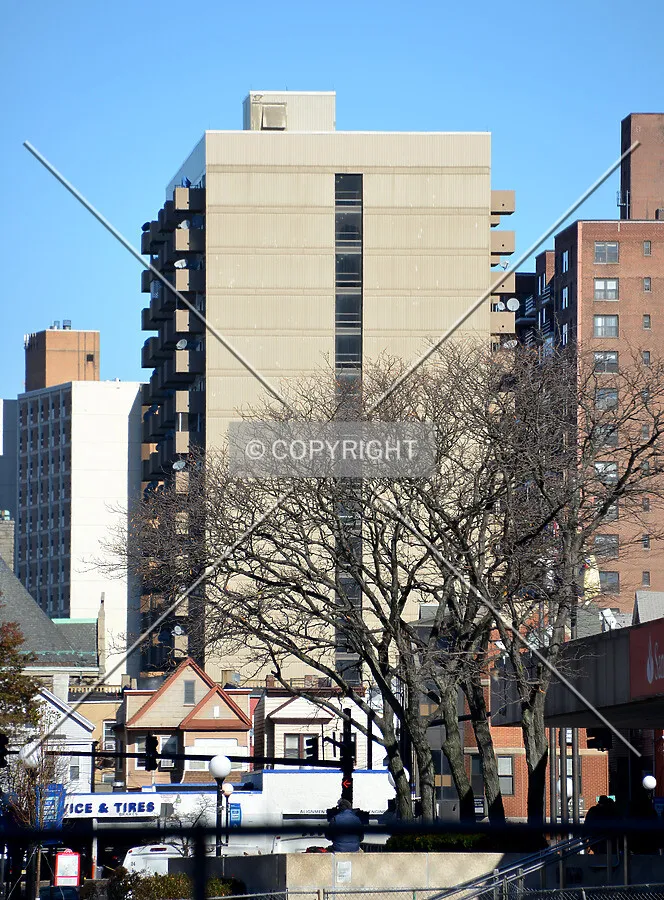 View from the southwest