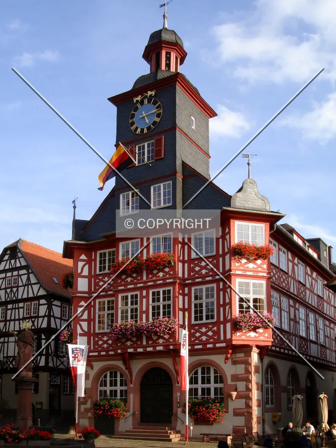 View from the northwest