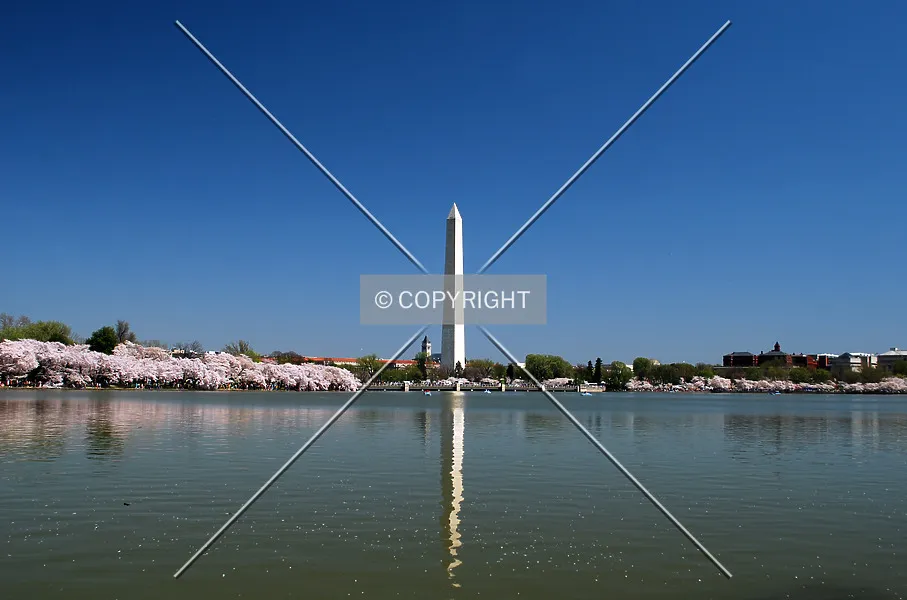 Photo 266-218-644