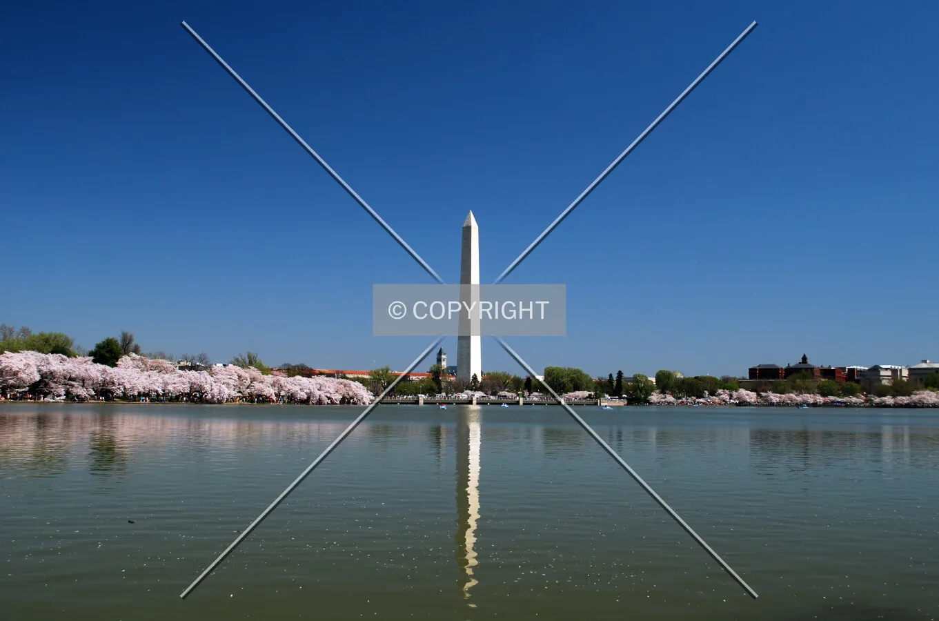 Viewed across the Tidal Basin