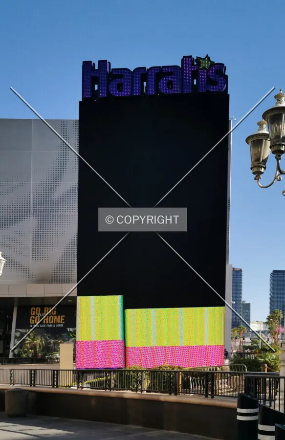 Photo 266-297-832
