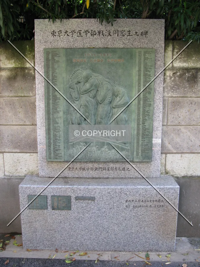 Photo 266-709-770