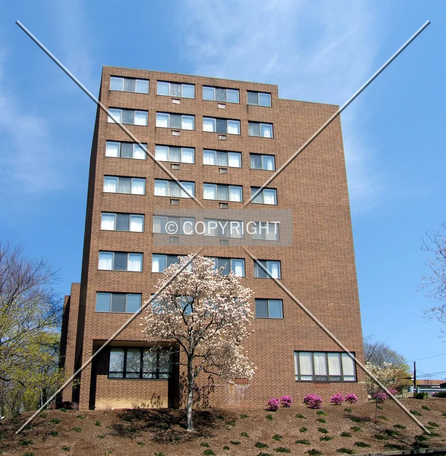 View from the southwest on Vine Street