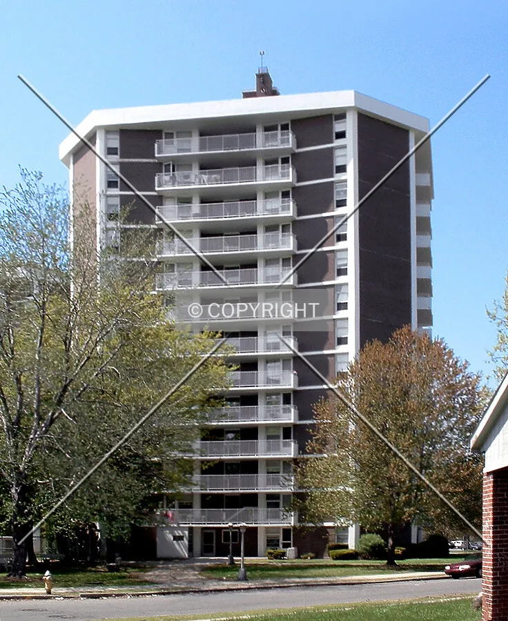 View from the southeast