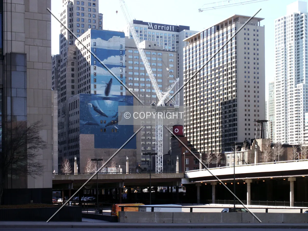 View from Columbus Drive