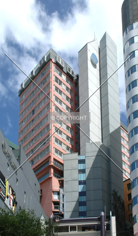 Looking up from Lambton Quay