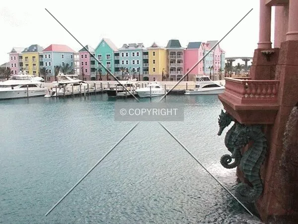 Condos by the marina