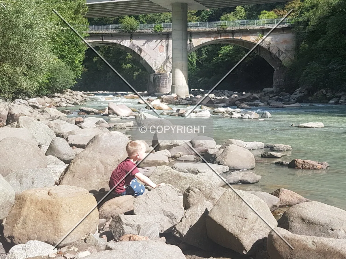 Photo 267-494-384