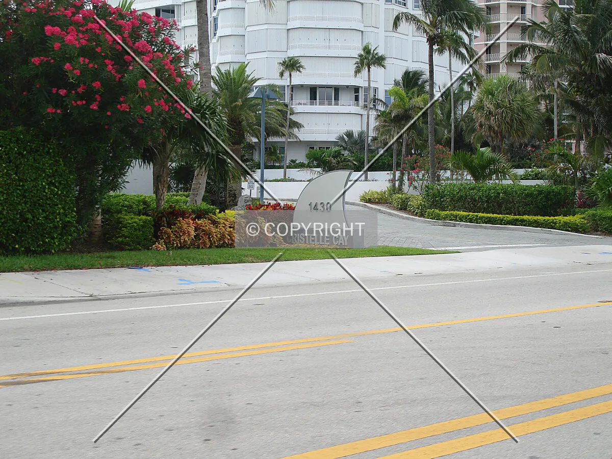 Photo 267-509-206