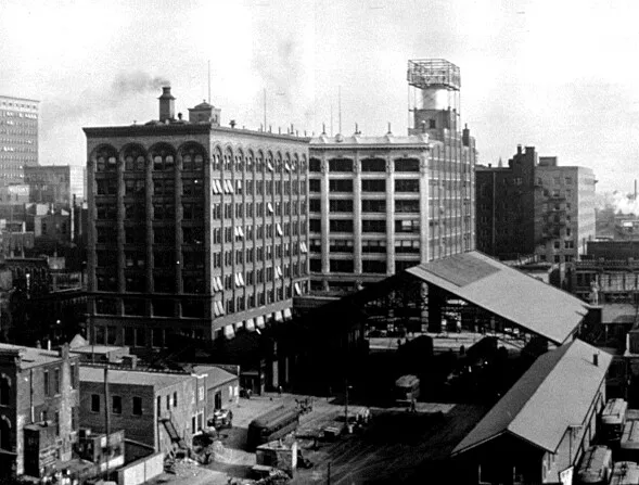 View from the northwest