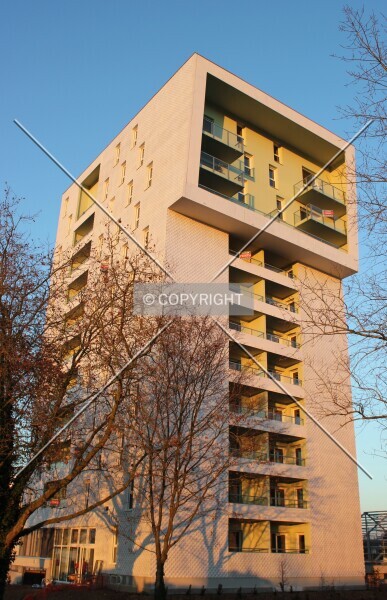 Photo 268-788-731