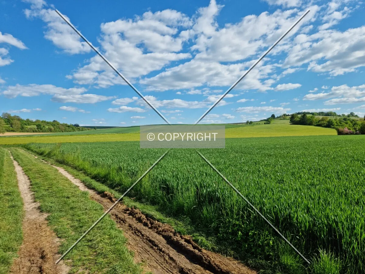 Photo 269-283-119