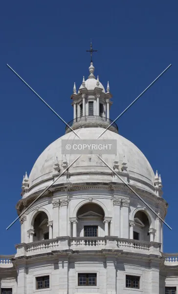 Photo 269-440-237