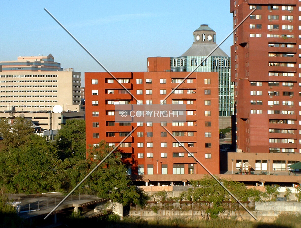 View from the southwest