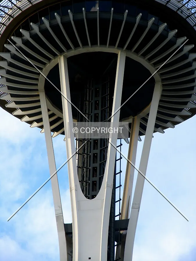 Support structure for the observation deck