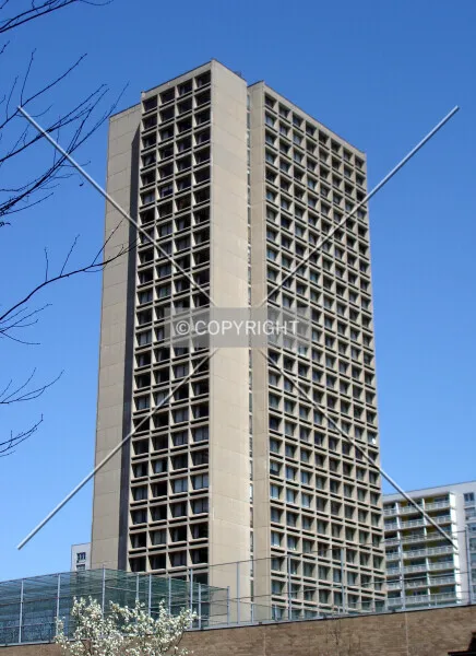 Photo 269-805-986