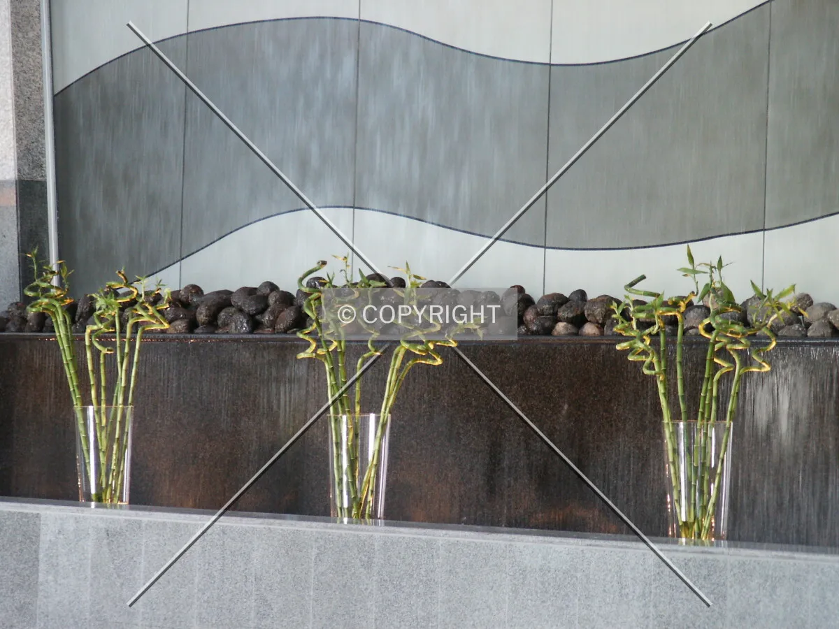 Curled bamboo in the lobby fountain