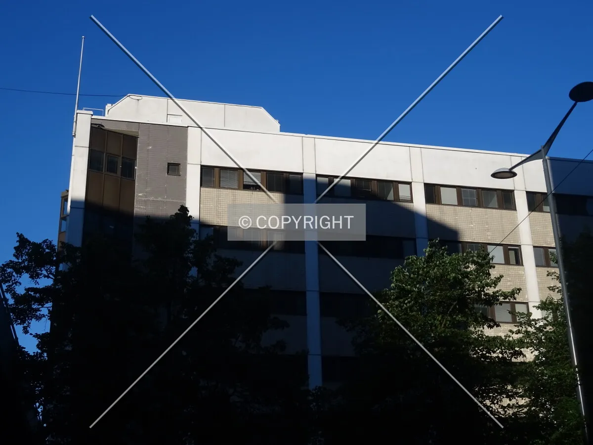 Photo 270-238-521
