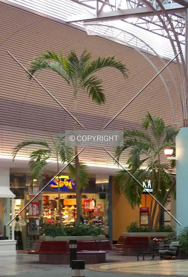 Looking across the central atrium toward the hallway that leads to the Sears and Dillard's department stores; January 3, 2008