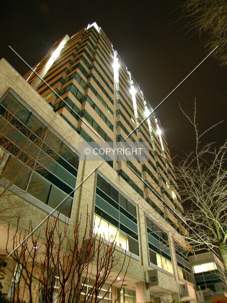 Photo 270-709-845