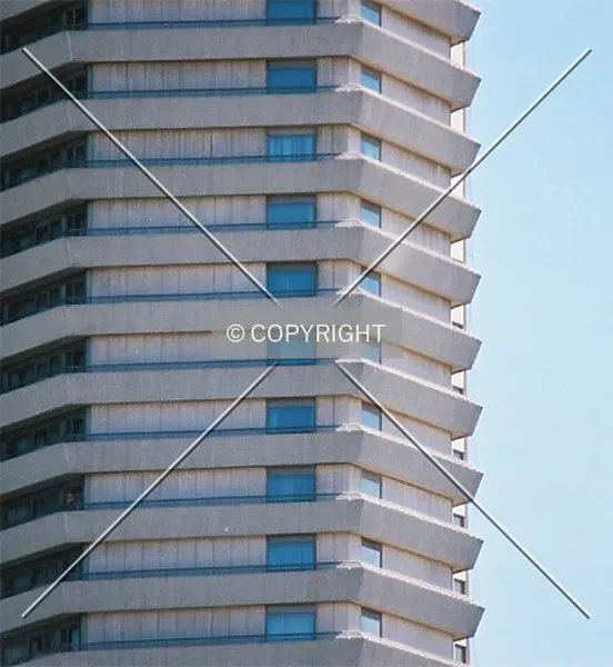 Photo 271-039-754