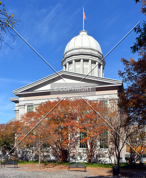 Photo 271-044-624