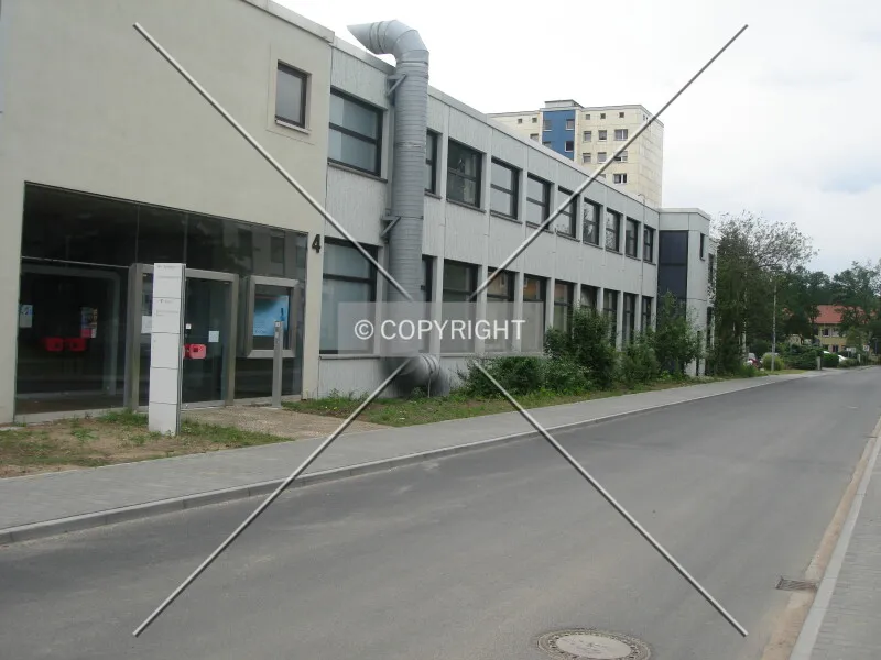 Photo 271-189-384