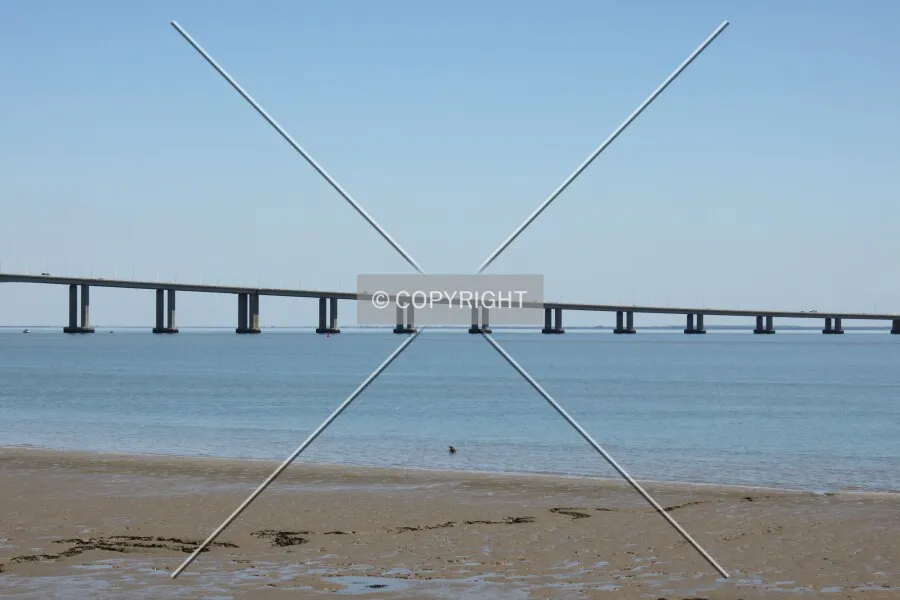 Photo 271-224-318