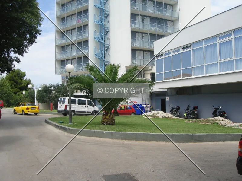 Photo 271-253-430