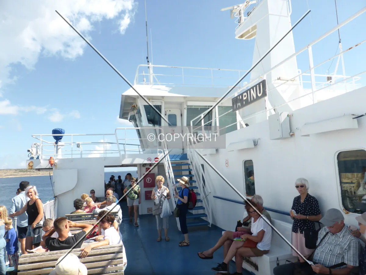 Photo 271-286-767
