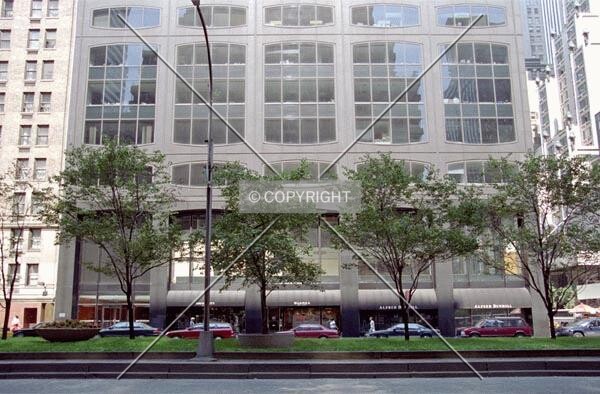 View from across Park Avenue