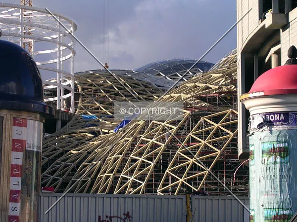 Curved roof framework