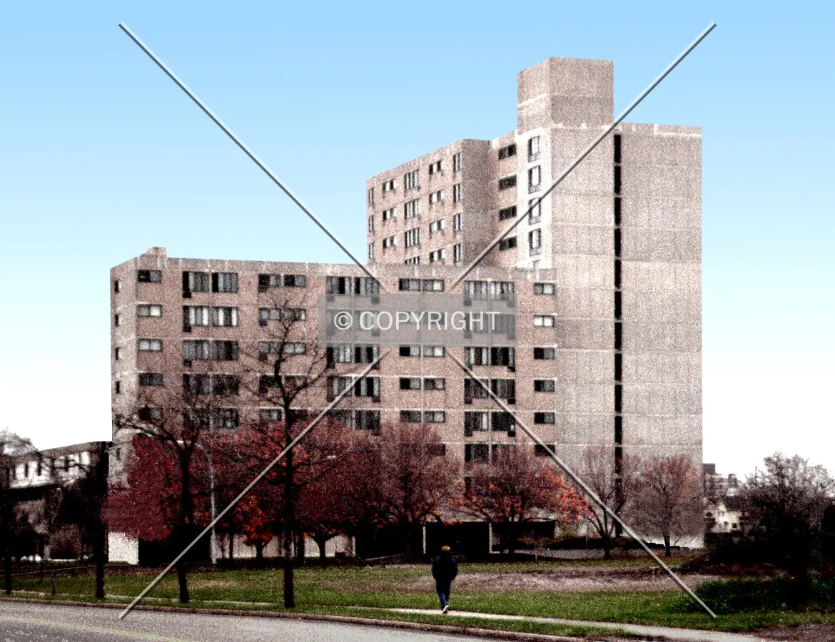 View from the northeast