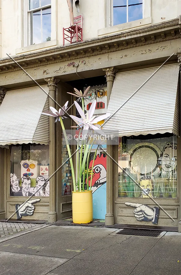 Flowers in front of a first floor shop; May 25, 2020