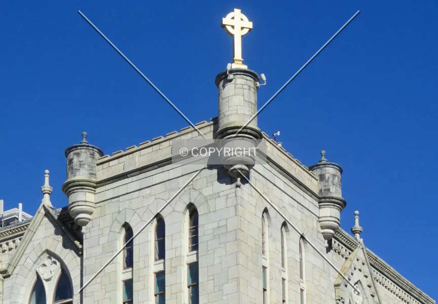 Photo 271-483-498